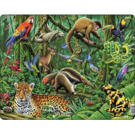 Puzzle biocenozy - Wilgotny las Amazonki